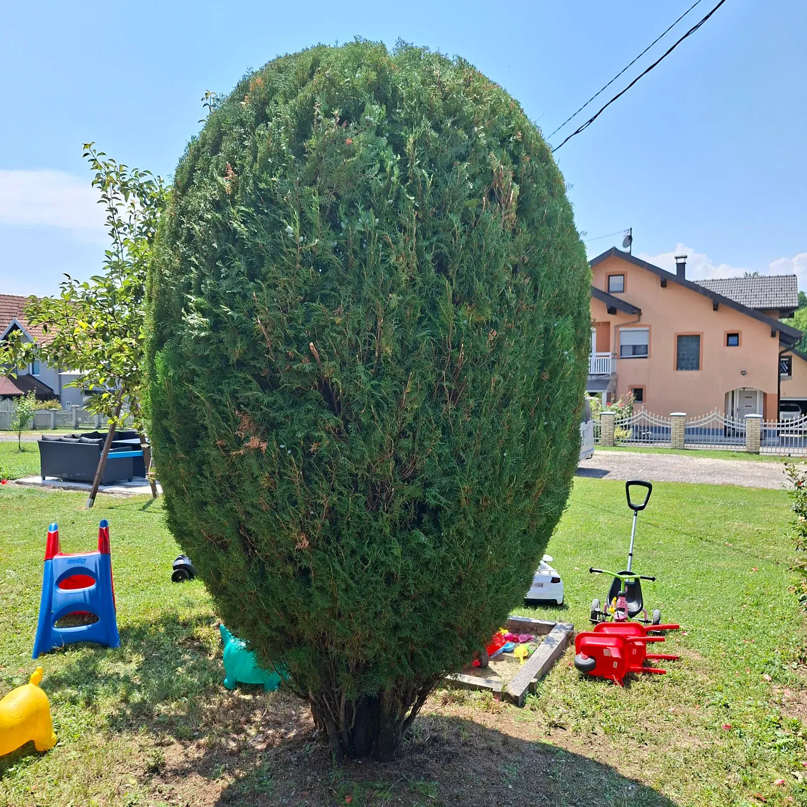 Ista živa ograda nakon oblikovanja.
