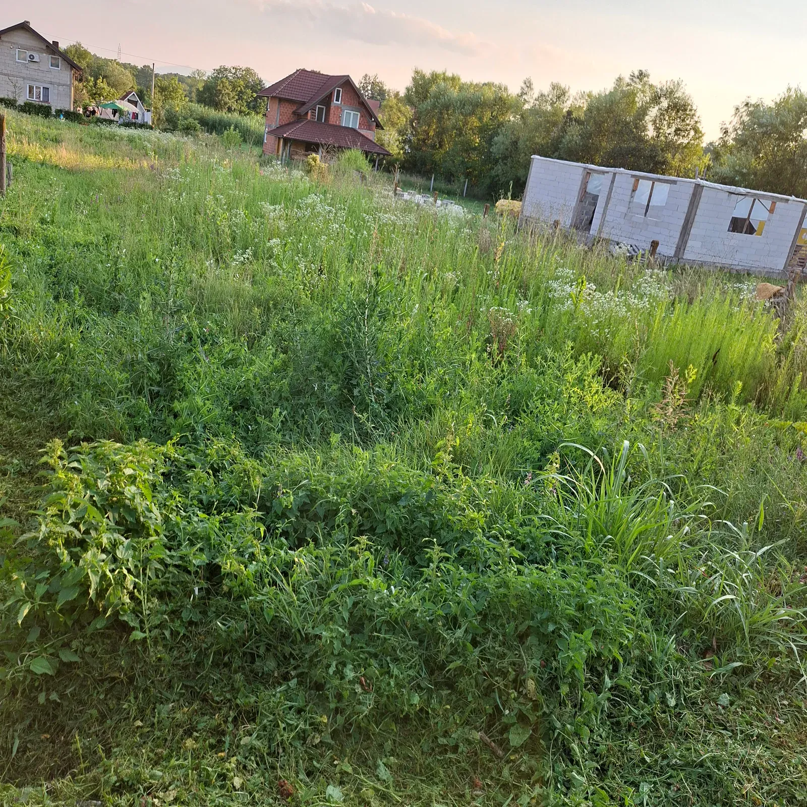 Zarasla vrtna površina prije uređenja.